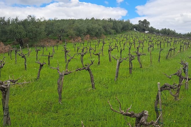 Crete's Secret Landscapes: Exploring the Island's Rural Heart 9