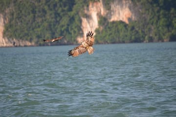 John Gray’s Adventure Hong by Starlight in Phang Nga Bay