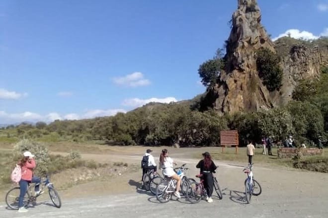 cycling safari in the park