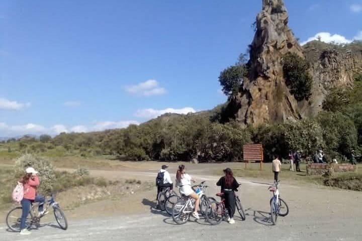 cycling safari in the park