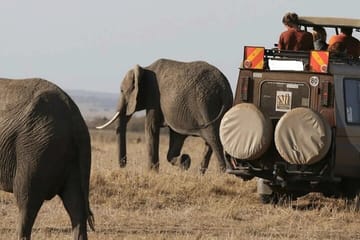 3 Days Tsavo East and West Safari Tour from Nairobi on 4×4 Jeep
