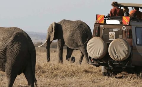 3-Day Tsavo East and West Safari from Nairobi in 4x4 Jeep