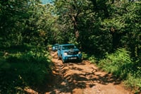 Off-road driving through the forested hills above the Bay of Kotor during a guided Jeep tour in Montenegro.