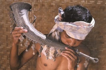 Tribal Culture and Tiger Safari Tour from Vizag to Nagpur