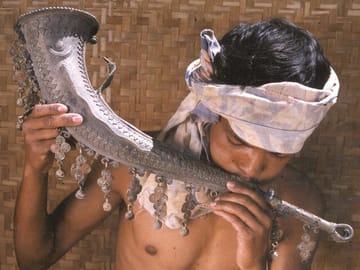 Tribal Culture and Tiger Safari Tour from Vizag to Nagpur