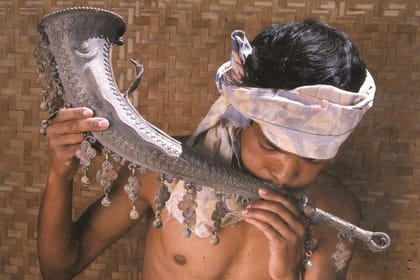 Vizag to Nagpur Tribal Communities & Tiger Safari