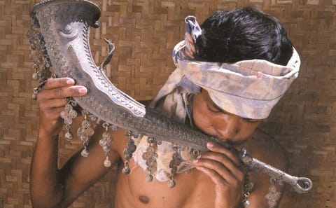 Tribal Culture and Tiger Safari Tour from Vizag to Nagpur