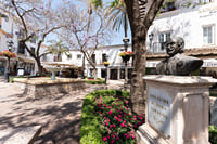 City Walk + Wine and Olive Oil tasting 7