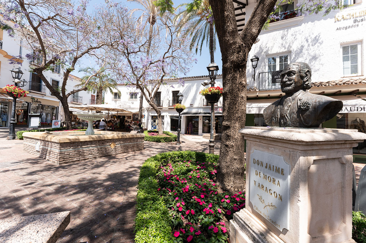 City Walk + Wine and Olive Oil tasting 7