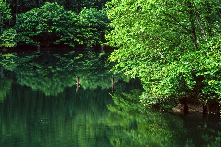 Kamikochi Feel nature and Hiking 1 day trip (near Takayama)