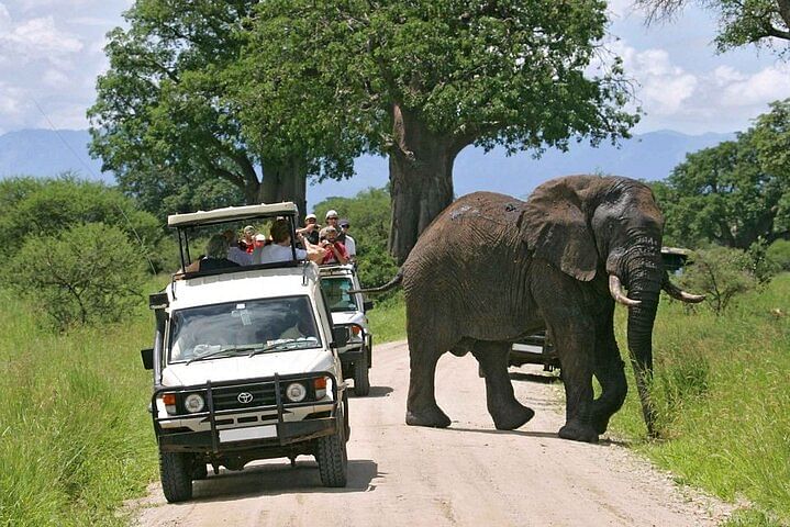 Wildlife Safari Adventure in Tsavo East & West National Parks