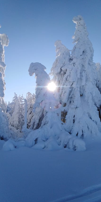 Private 2-day Trip with Snowshoes 2