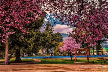 El Bolson Day Trip from Bariloche