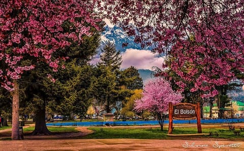 Day Trip to El Bolson and Lago Puelo from Bariloche