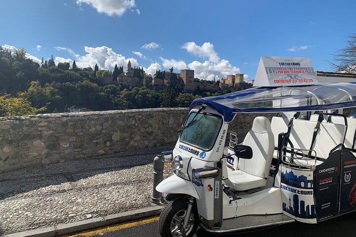 Private Tour in Tuk-Tuk through La Granada de los Reyes Católicos 3
