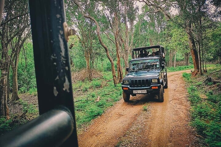 Yala National Park Full Day Safari Tour from Ella 6