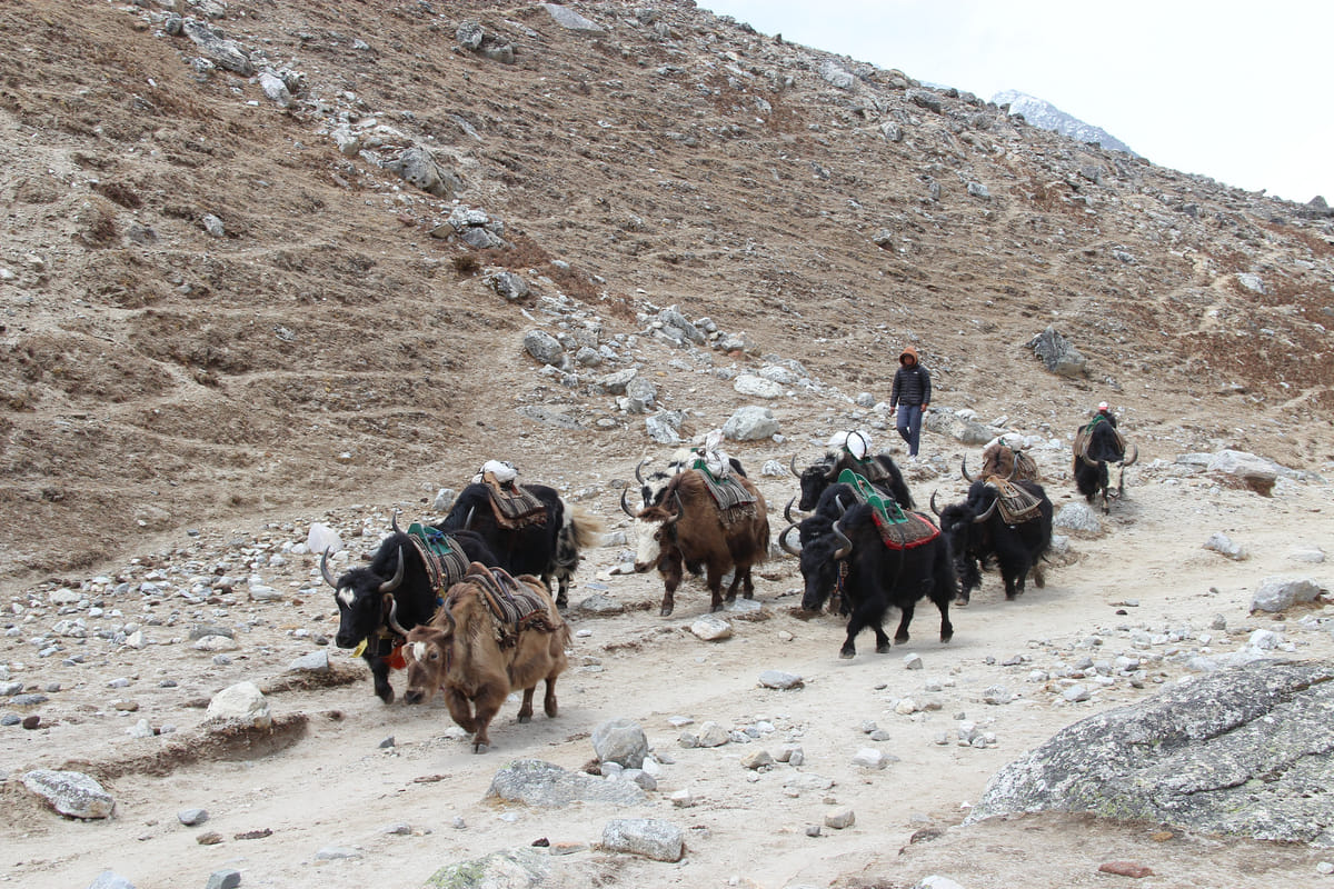 19 Days Mera Peak Climbing & Expedition – One Life-Changing Himalayan Adventure