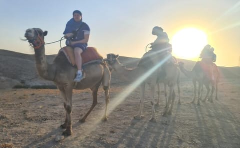 Camel Ride and Sunset Experience in Agafay Desert from Marrakech