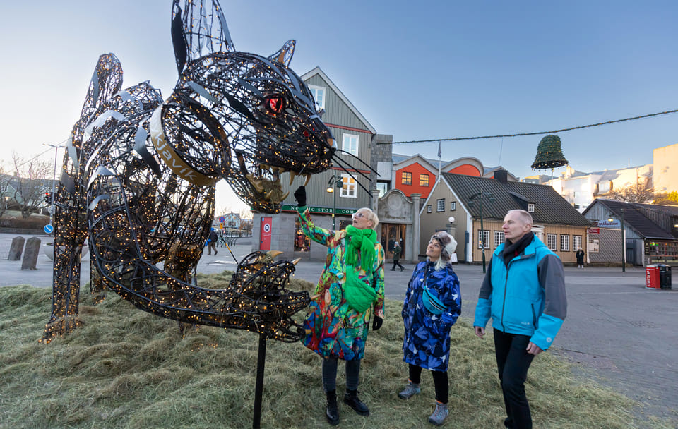 Private Christmas Walking Tour in Reykjavík, Iceland