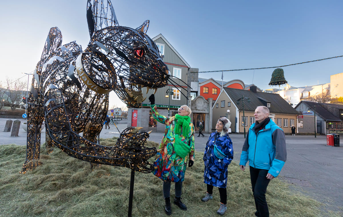 Private Reykjavik Christmas Walking Tour