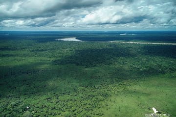 Three-Day Nature Tour of Tambopata National Reserve, Peru