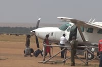  3 Day Masai Mara Safari Flying Package 7