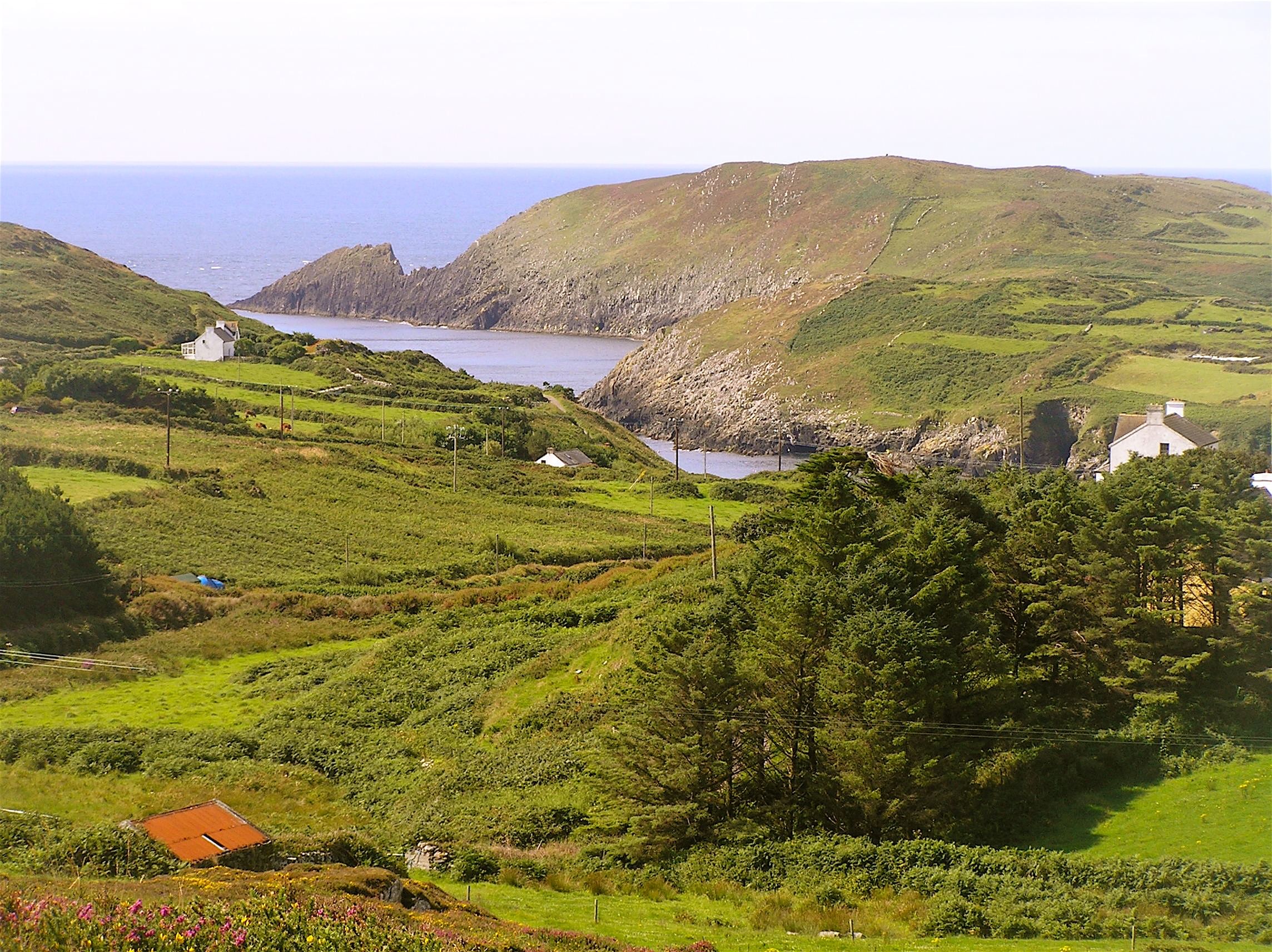 Fastnet Rock Lighthouse & Cape Clear Island tour departing Baltimore. West Cork. Self-guided.