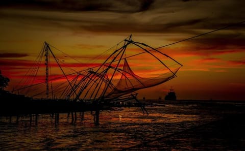 Cultural and Scenic Tour of Alappuzha and Chennai