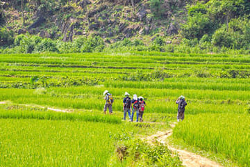 Three-Day Trekking Adventure in Mai Chau and Pu Luong