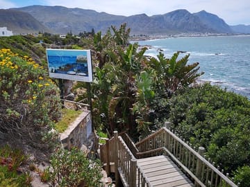 Whale watching from the boardwalk in Walker Bay