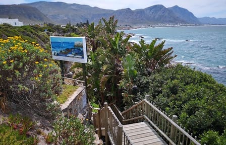 Private Whale Watching, Penguin Viewing, and Wine Tasting Tour from Cape Town