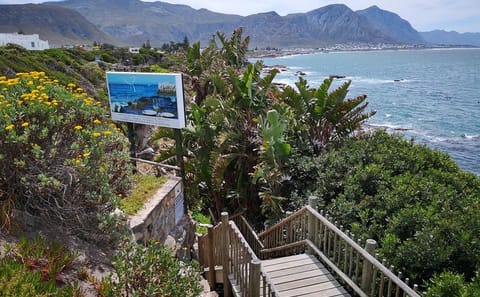 Private Whale Watching, Penguin Viewing, and Wine Tasting Tour from Cape Town