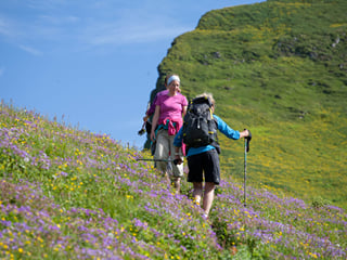 Hornvík Heights and Sights, photo 20
