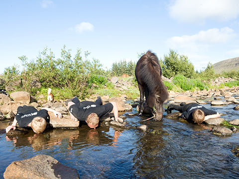 Silfra Snorkeling - with underwater photos & Horseback riding, photo 14