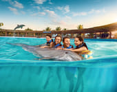 Playa del Carmen Maroma - Dolphin Royal Connection 6