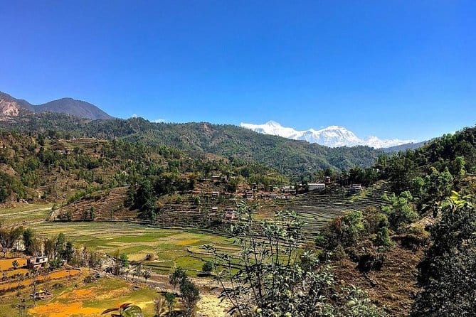 8-Day Sirubari Village Homestay Hiking Tour