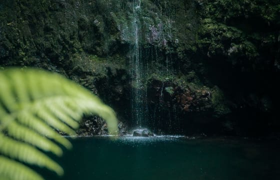 PR9 Queimadas Caldeirão Verde Levada Hiking Transfer