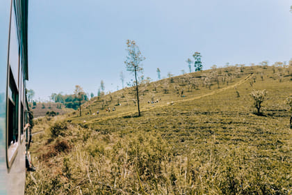 Take a Hill Country Journey on the Rail Tracks