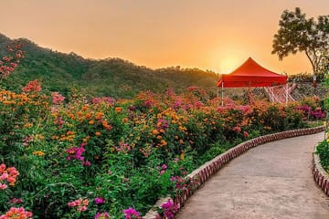 Gujarat Cultural Tour: Explore Ahmedabad, Bhavnagar, Dholka