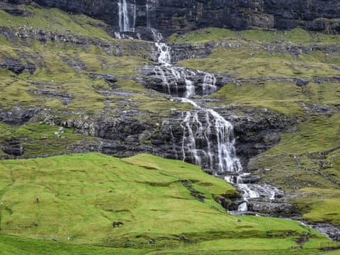 Iceland & Faroe Islands One or Both!, photo 2