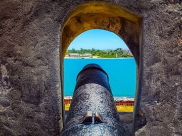 the fort canon guns