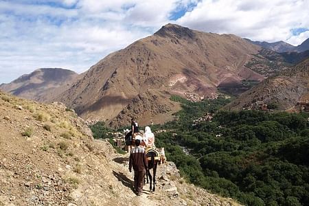 Marrakech Day Trip: Imlil Hiking Tour with Berber Lunch Experience