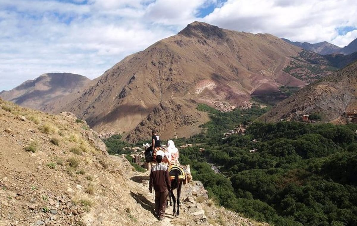 Marrakech Shared Group Day Trip to Imlil with Walking Tour and Lunch