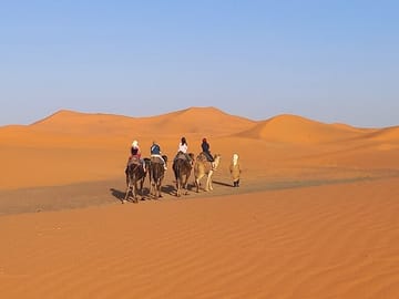 Camel Ride at Sunset in Merzouga Dunes, Morocco
