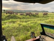 8 Days Kenya Iconic Family Safari 3