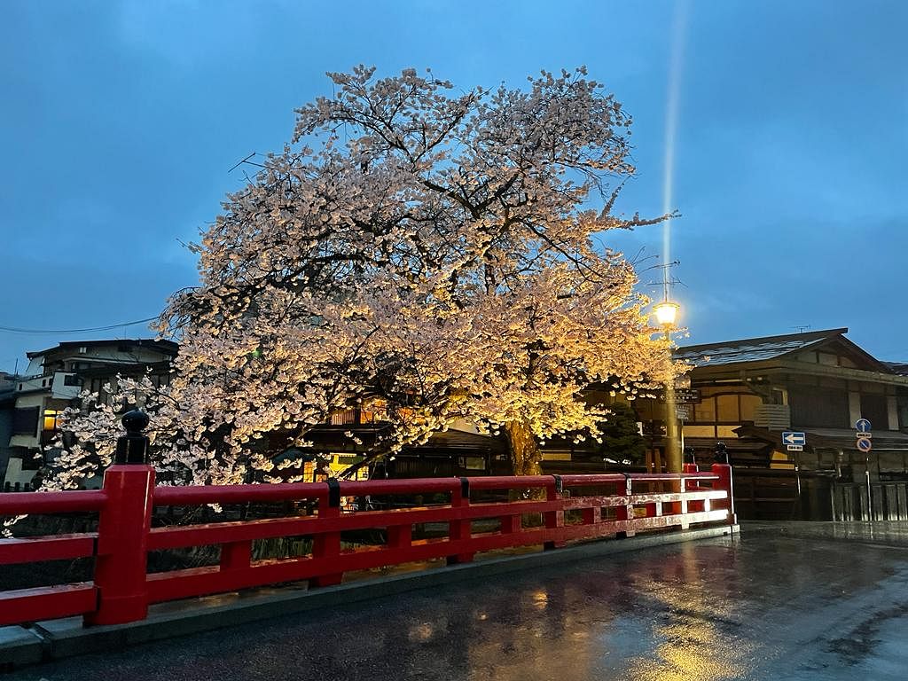 Night tour of Takayama (About 40 min.)