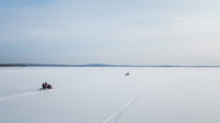 3-Hour Snowmobile Safari (70 km) 2