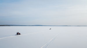 3-Hour Snowmobile Safari (70 km)