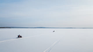 3-Hour Snowmobile Safari (70 km)