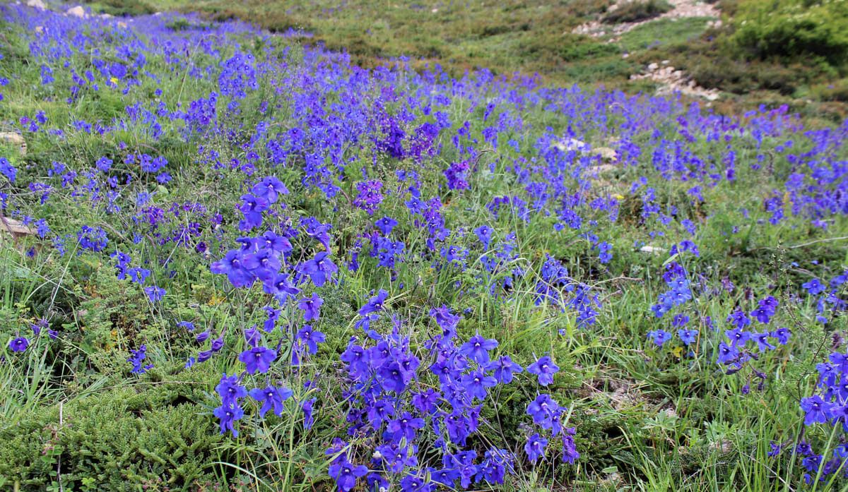 19 Days Mera Peak Climbing & Expedition – One Life-Changing Himalayan Adventure